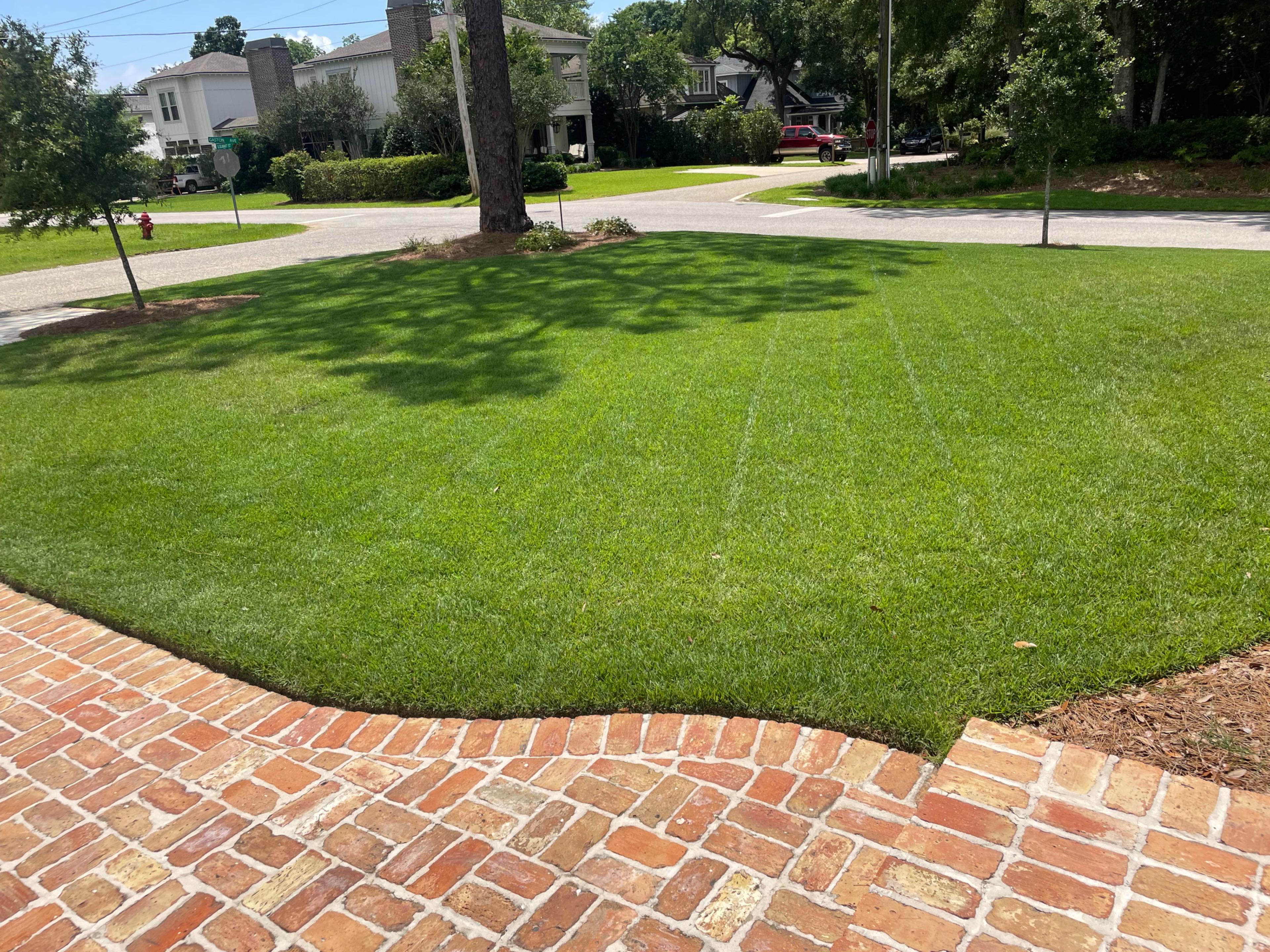 Fine Detail Lawncare Landing Image Fine Detail Lawncare Landing Image